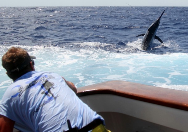 The 2013 snapper season in South Australia is closed from November 1 through until December 15. Image: Jamie Crawford